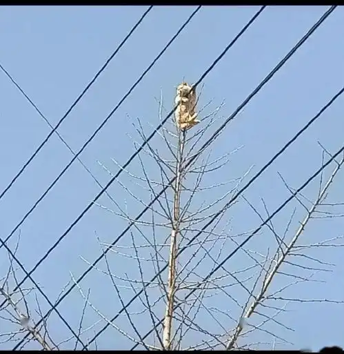  这脸亲妈都认出来了吧男生p图技术有多狠哈哈哈场面不可控制