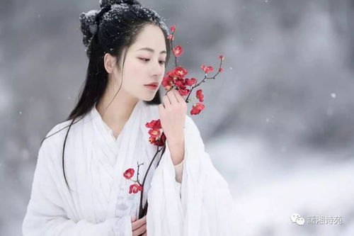 古风情侣头像暧昧美图壁
