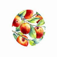  用蔬菜水果做头像微信头像图片大全