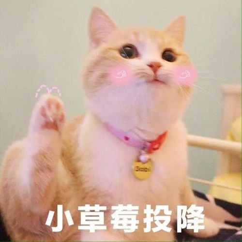  幽默搞笑这一生,我明白得最早的一个道理就是,人是铁,床是磁铁