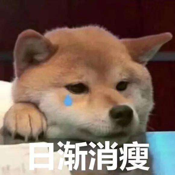  元旦过后广西肉价上涨原因竟是......梧州人年夜饭有影响吗