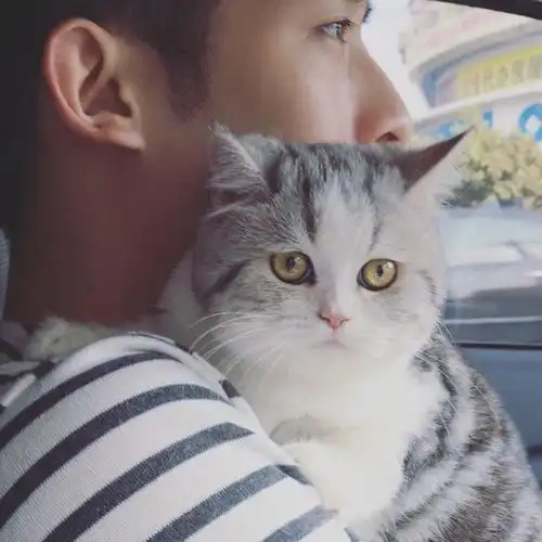  求这个情侣头像的另一张