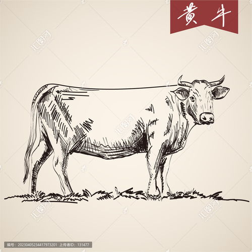  手绘线条黄牛