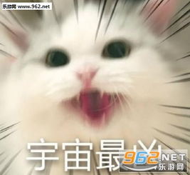  奶凶是什么意思奶凶奶凶表情包下载乐游网游戏下载