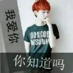  找这个头像的情侣头像