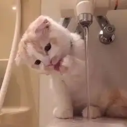  让你欲罢不能的情侣头像