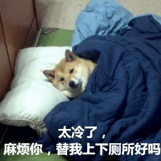  10年来最冷春节天气转晴就在