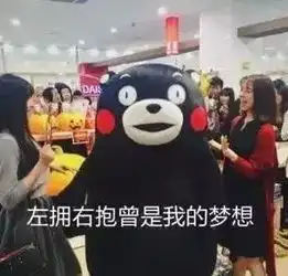  flag都立在这里了,马上见证奇迹