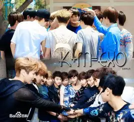 2013年exo到目前为止参加的所有综艺节目  2013年exo到目前为止参加的所有综艺节目