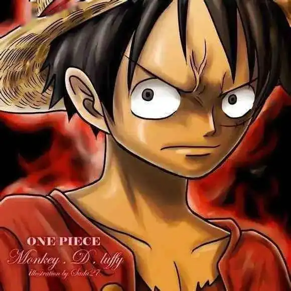  岁月的陪伴海贼王