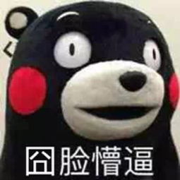  看准网
