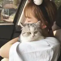  女生抱猫的情侣头像微信头像图片大全