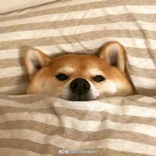  下周二到周五一首冷冷送给你