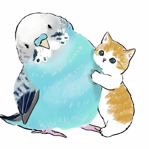  漫画小揪揪带奶猫,二次元版小揪揪孵奶猫