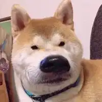  趣味动物头像