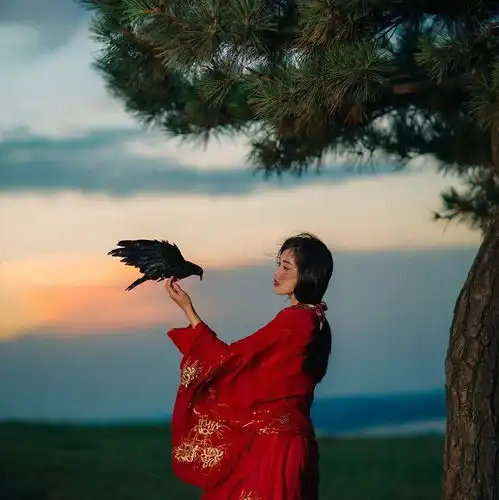  穿过西风与山河安知甜与乐