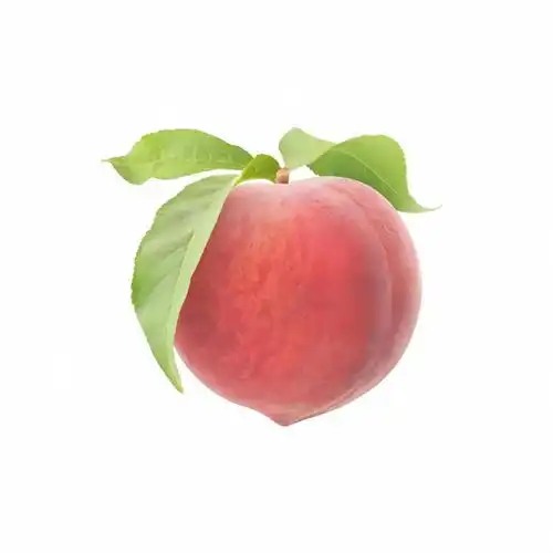  谁懂啊这种白底食物头像