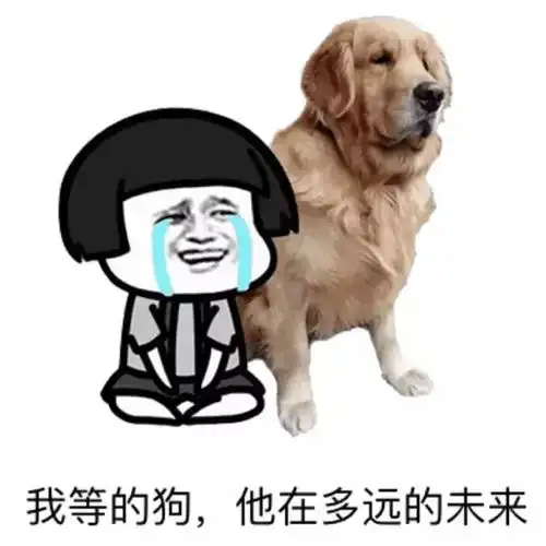 对不起,我们分手吧因为你是包头人 对不起,我们分手吧因为你是包头人