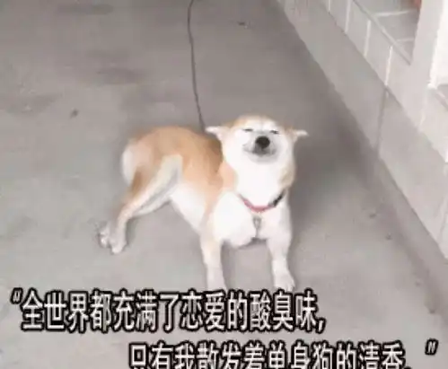  拿着公款谈恋爱盘点明星夫妇的定情之作,这几部你看过吗