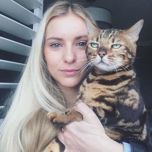  猫主子自拍翻车实录原来它们的嫌弃脸不是演技是本能