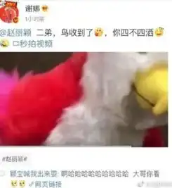 楚乔传道具苍梧鸟赵丽颖到底送了多少人 楚乔传道具苍梧鸟赵丽颖到底送了多少人