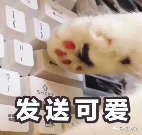 表情包头像搞笑图片表姐