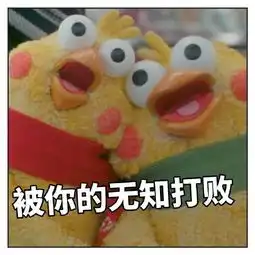  最近很火的鸡的表情包鹦鹉兄弟表情包大全