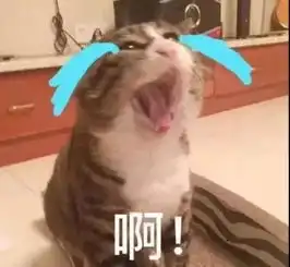 表情包头像搞笑图片瞌睡