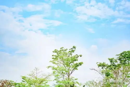 拒绝摆拍式情侣照高颜值cp秀恩爱正确打开方式 拒绝摆拍式情侣照高颜值cp秀恩爱正确打开方式