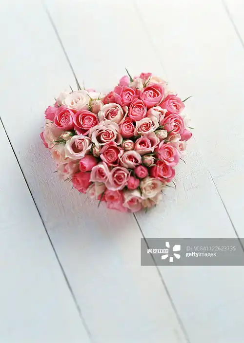 摄影图片 摄影图片