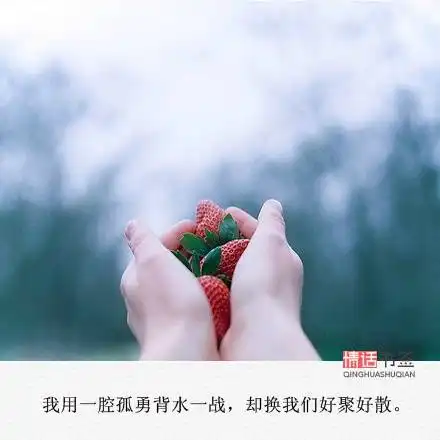 文字控情话伤感短句文字句子堆糖,美好生活研究所 文字控情话伤感短句文字句子堆糖,美好生活研究所