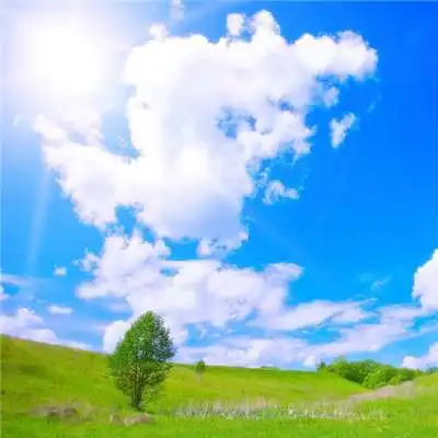  寓意好运连连的微信头像一个头像让你一路发发发