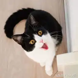  郎溪去香港做验胎儿男女谐富科技