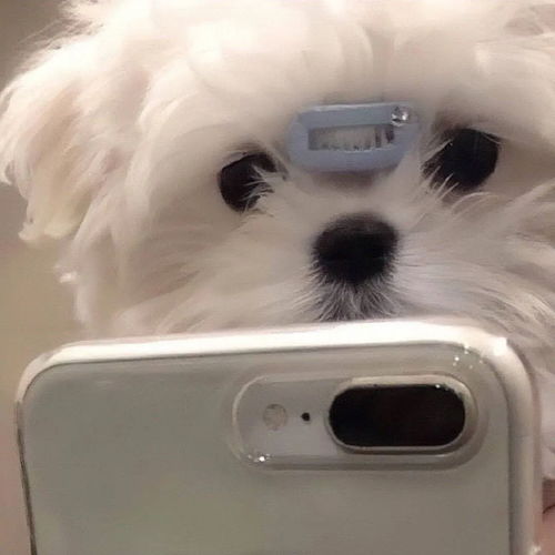  可以自叫快递的香水小样