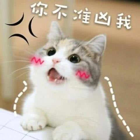 最近火了奶凶奶凶的表情包,杀伤力极强,拿去调戏心上人呗