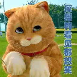  向来不看脸的古天乐,居然会被喵星人瞬间征服
