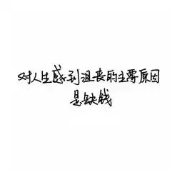  透过窗玻璃只见满天飘下娇柔点点