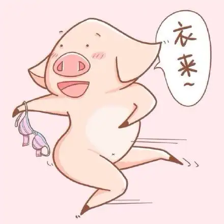 太坏了,准备拿眼睛去瞪暹罗猫表情包 太坏了,准备拿眼睛去瞪暹罗猫表情包