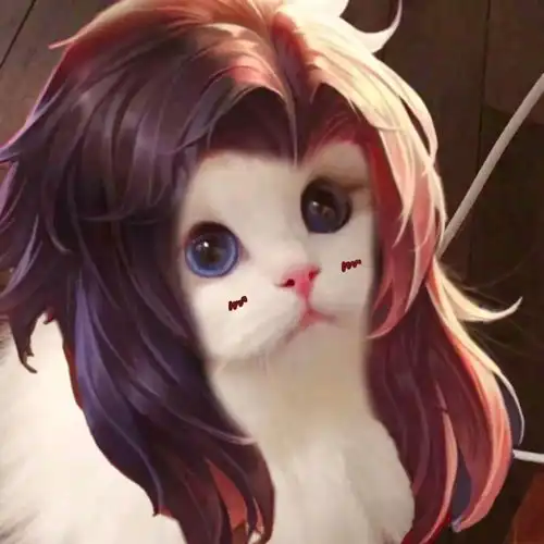 王者荣耀街头猫咪 王者荣耀街头猫咪