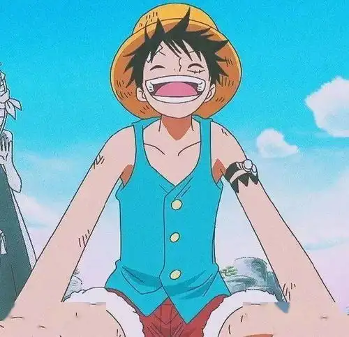  头像海贼王头像集