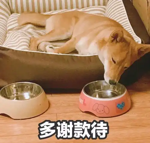  部分大学生最绞尽脑汁的时刻之一又到了