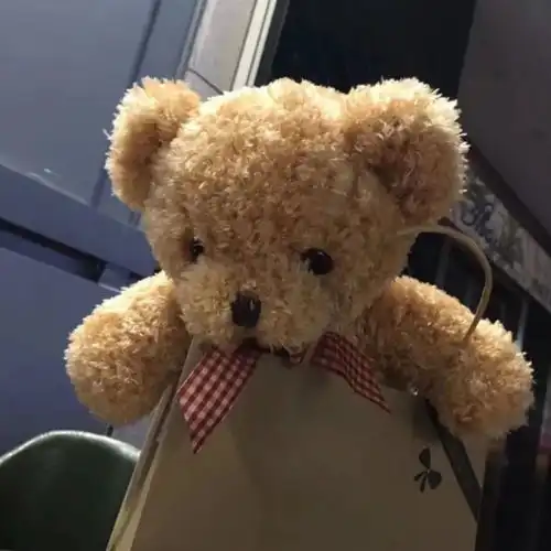 布布熊情侣头像惨败