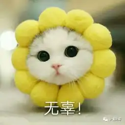 护童开学爆到,点击领取你的开学大礼包 护童开学爆到,点击领取你的开学大礼包