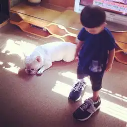  男孩子tasuku和法国斗牛犬muu