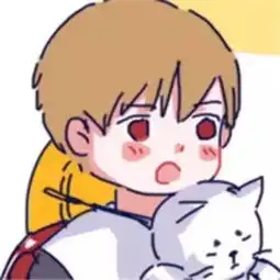 像情头又不是情头的头像