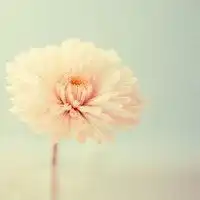 风景短发女生情侣头像小清新微信头像图片大全