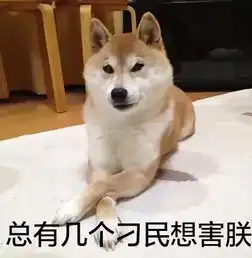 哈士奇和柴犬情侣头像是