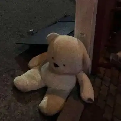 霸气熊头像图片大全