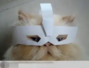 喵星人参加化装舞会 喵星人参加化装舞会