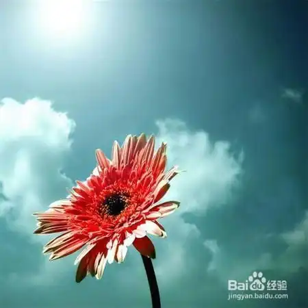  班主任如何帮身有残疾的学生走出自我封闭